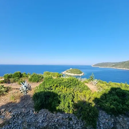 Apartman Octopus Vis